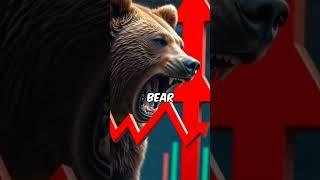 Bull vs  Bear Markets Explained A Beginner’s Guide to Spotting Trends!🫨 #trading #traders