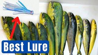 How to Catch Mahi Mahi, Best Lures, Baits, and Trolling Techniques