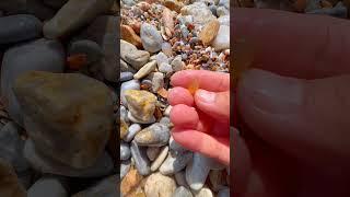 Rainbow Beach's Crystal Secrets, but beneath the sand lies a secret world of crystals.
