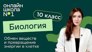 Обмен веществ и превращение энергии в клетке. Видеоурок 13. Биология 10 класс