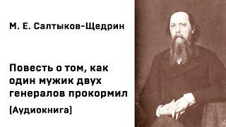 М  Е  Салтыков Щедрин Повесть о том, как один мужик двух генералов прокормил Аудиокнига Слушать Онла