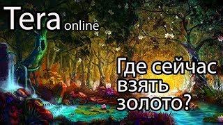 Tera online золото / Где фармить золото в Tera 2020?