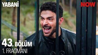 Yabani 43. Bölüm 1. Fragmanı