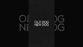 Franchi Presents: Old Dog. New Dog. OUT NOW! #franchi #BirdDog