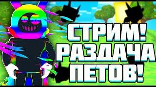 Стрим ждём обновления  в Saber Simulator (Продажа петов) 