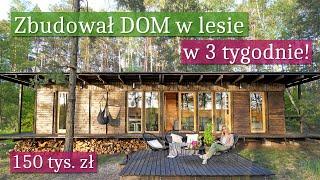 Building 35 sqm CABIN IN THE FOREST - Flat roof Tiny house