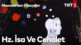 Hz. İsa Ve Cehalet | Mesnevi’den Hikayeler 22. Bölüm