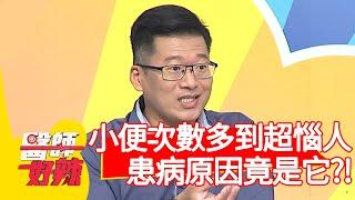 小便次數多到超惱人，患病原因竟是「它」？！【@醫師好辣 】20200929 part2 EP1023 田知學 陳保仁