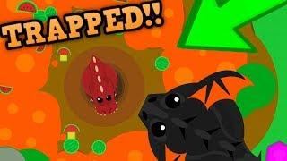 MOPE.IO RING OF FIRE TROLL!! // Black Dragon Glitch (Mope.io Funny Moments)