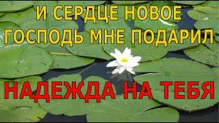 И сердце новое Господь мне подарил (Надежда на Тебя). Лучшие христианские песни.