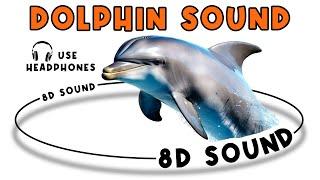 DOLPHIN SOUND - DOLPHIN SOUND EFFECT - NOISE OF DOLPHIN - animal sound