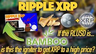 Ripple XRP: If BAMBOO Is The RLUSD, Is This The Igniter To Get XRP To A High Price?