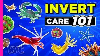 Inverts the 24 hour Aquarium Janitors