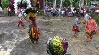 Perang Caplokan nyenengne warga Jaranan New Cipto Budoyo Banyuwangi seni khas rakyat Osing