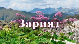 Зарият. Гафарни макьам: Седакъет Керимова. Лугьузвайбур: Эльвина Гьейдарова, Роза Гьажимурадова.