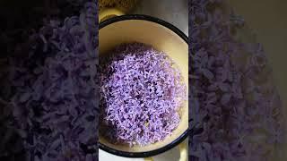 Как приготовить сироп из сирени🫠 #сирень #сироп #лимонад #домашнийлимонад #рецептыизсирени