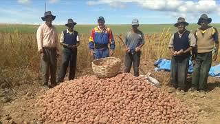 PROAGRO, HARVESTING WATER FOR THE SEEDS OF LIFE