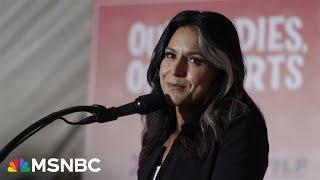 Nicolle Wallace on Tulsi Gabbard’s nomination: 'She's made a career defending America’s enemies'