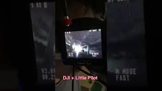 DJI FPV Hawkeye little Pilot fpv Monitor