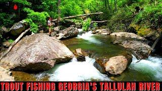 Tallulah River Trout Fishing