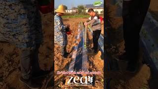 993270080 #kuchat #seyalka #seeder #apparat #сеялка #кучат #agro #памидор #тарвуз