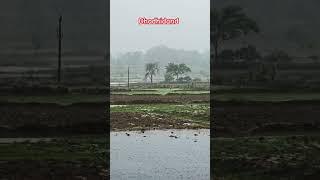 #love #rainyday #dhodhidand #kunkuri #jashpur @jashpurtirkeycreations