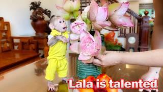 Lala skillfully helps Thuy arrange lotus flowers to decorate the house!
