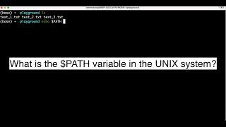 Understanding the Path Variable in Unix Systems 