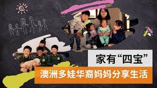 家有”四宝”：澳洲多娃华裔妈妈分享生活的忧与乐 |SBS 中文