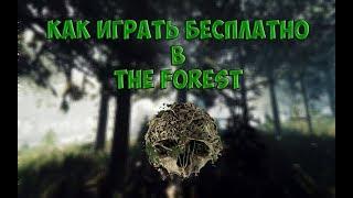 Как играть с другом в The forest на пиратке