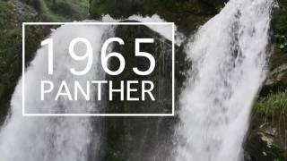 1965 - Panther