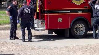 RAW SCENE FOOTAGE: Man shot in leg on Thornhill Avenue