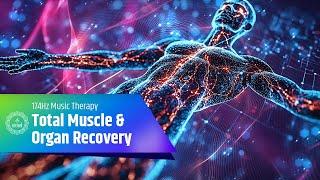  Total Muscle & Organ Recovery  174Hz Music Therapy for Complete Nerve and Vein Restoration
