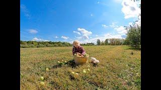 Eva and Milana have fun and pick apples at Apple Orchard-CherryHawk Farm in Marysville Ohio