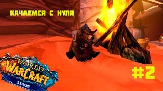 Стрим по World of Warcraft  algalon x4 / Качаем с нуля медведя совместно с другом