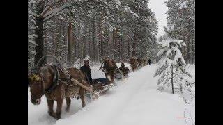 Страшные истории из жизни  На зимней дороге