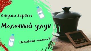 Ceremony Tea - Молочный улун // Его правда поливают молоком