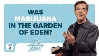 Should Christians Smoke Marijuana or Drink Alcohol?