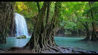 Jack Jezzro, Star City Symphony - Guitar at the Symphony [Full Album Visualizer 4K]