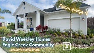 Tarpons Springs FL Model Home Tour | Eagle Creek | David Weekley Homes | Adelaide Plan