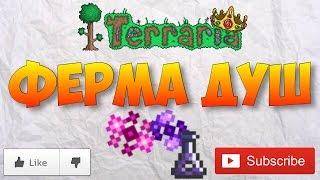 Ферма душ света и ночи | Terraria