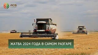 Уборка 2024/Уборка пшеницы/Уборка гороха/Уборка рапса/Работы на виноградниках/Капельное орошение