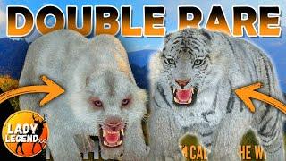 TWO RARE TIGERS Almost at the SAME TIME!!!  - Call of the Wild