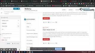 Bizberg WordPress Theme: Add Widgets to Sidebar