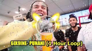 6IX9INE- PUNANI (1 Hour Loop)