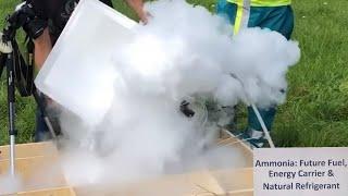 Flameability of Ammonia - Future Fuel, Energy Carrier & Natural Refrigerant