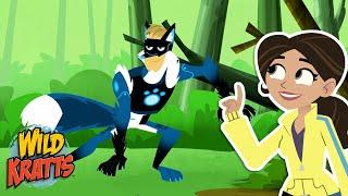 Activate Red Fox Powers | Rescuing Fox Pups from Gourmand | Season 7 | Wild Kratts