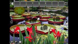 BEG Flower Victoria Rain Forest Escape Walkthrough [BigEscapeGames]