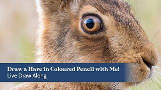 Speed Draw a Hare in Coloured Pencil | Live Draw Along