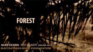 Forest - Vocal Deep House Music visualization